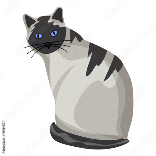 American shorthair cat illustration