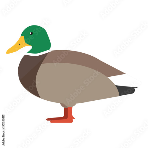 Duck side view flat