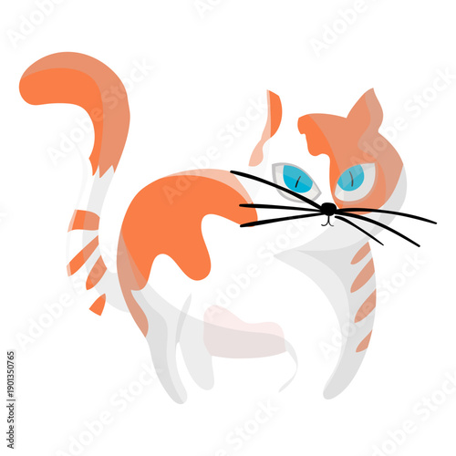 Cat pet illustration