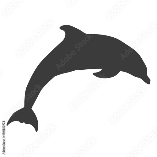 Dolphin tail flipper swimming silhouette