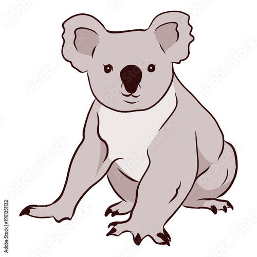 Photography Ear koala leg nose illustration