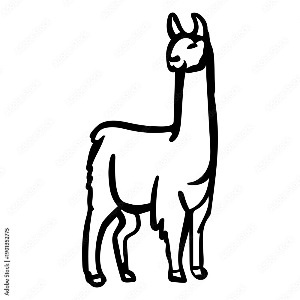 Fototapeta premium Stroke alpaca stands