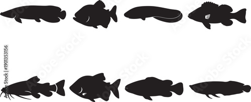 Comprehensive Collection of Freshwater Fish Vector Silhouettes: Detailed Black Icons of Catfish, Bass, Piranha, and Various Aquatic Fauna for Fishing, Aquarium, or Aquaculture Design Projects