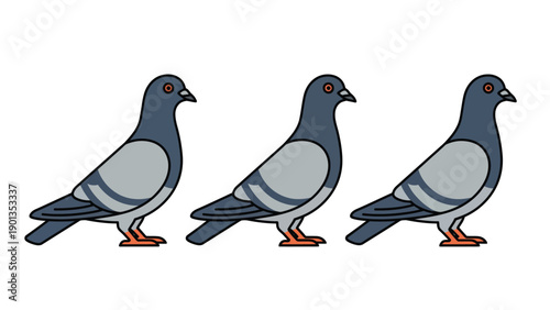 Three cartoon pigeons standing in a row on white background