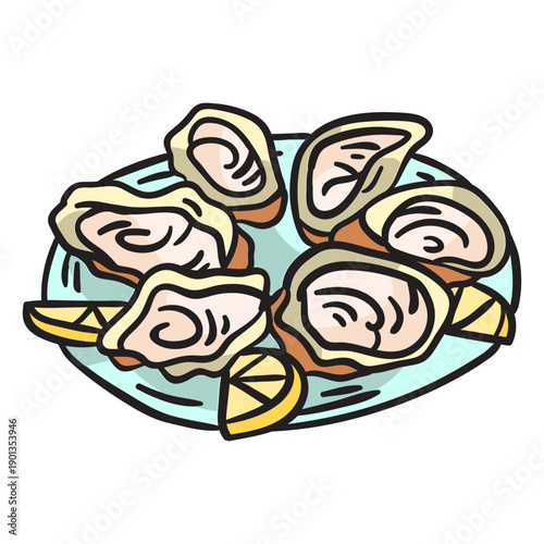 Bluff oysters illustration