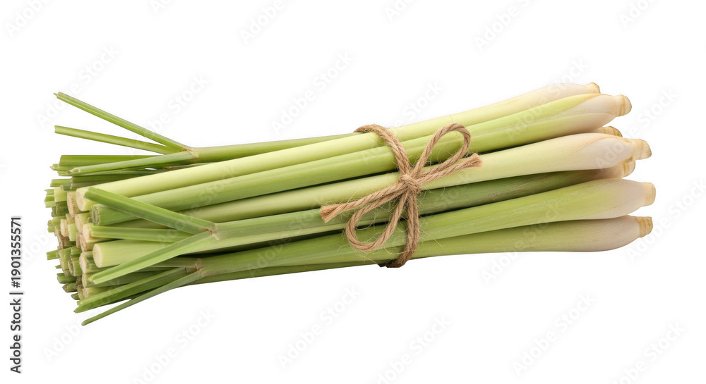 Fototapeta premium A bundle of fresh green sugarcane stalks displayed against a plain background