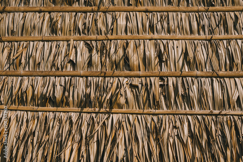 Dried palm leaves roof with bamboo sticks arranged horizontally for natural construction in warm climate