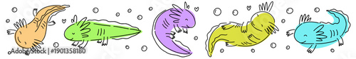 Horizontal vector collection of cute axolotls, hand drawn in doodle style.