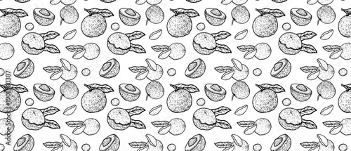 Seamless background with longan fruits. Halves and whole exotic fruits with bones. Longan pattern in vintage linear style, can used for wrap, food packaging, textile, cosmetic product designs.