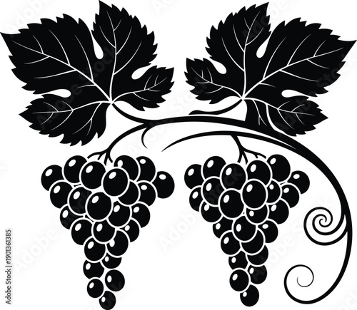 Grape cluster silhouette illustration with vine leaves and tendrils, black and white artwork, vineyard agriculture design concept, winemaking and nature