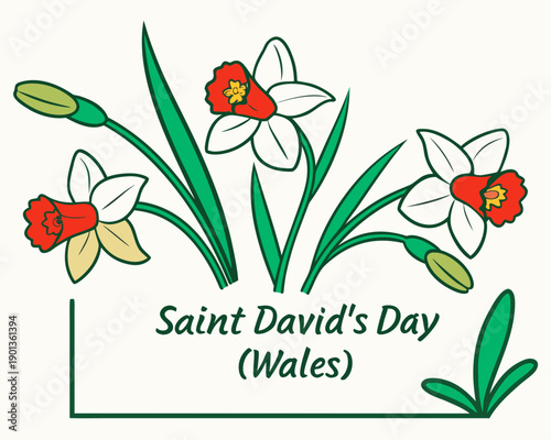 Saint Davids Day Wales daffodils flowers green leaves