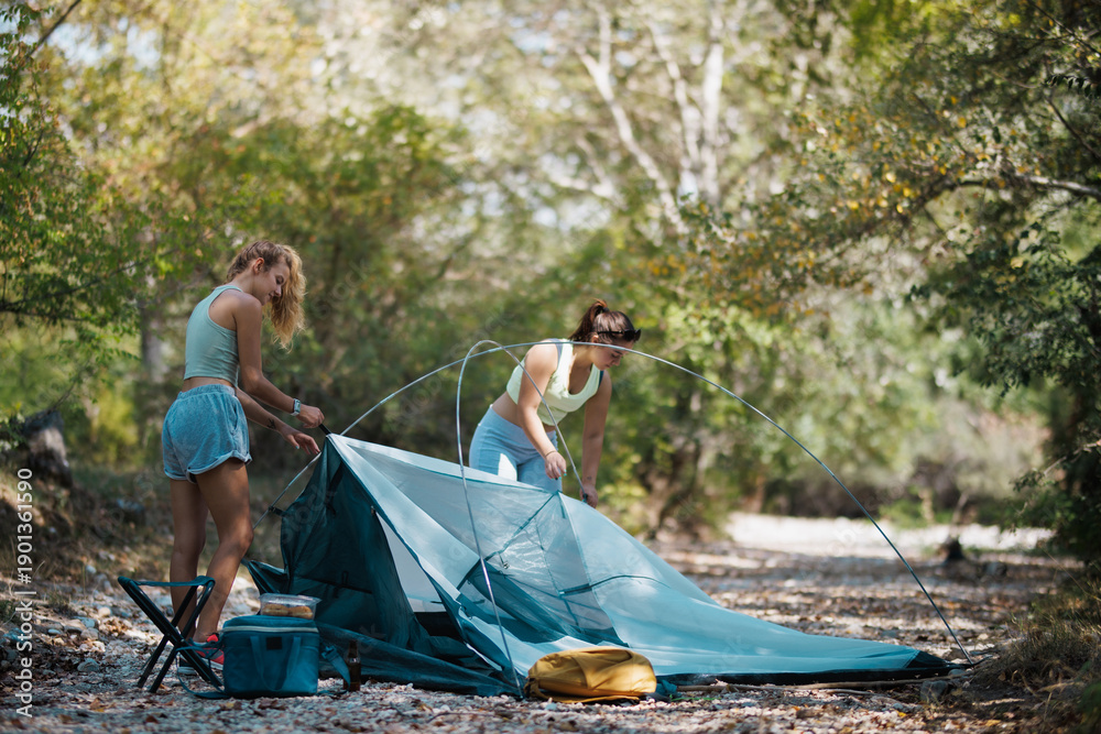 Fototapeta premium Two friends setting up a camping tent on a forest trail under trees during a sunny day in late spring or early summer