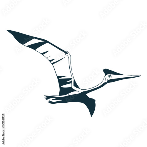 Drawn quetzalcoatlus dinosaur