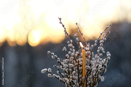 Konstfotografi pussy willow twigs and burning wax candle close up on sunny nature abstract background