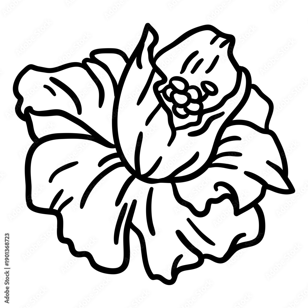 Fototapeta premium Garden flower stroke