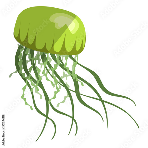 Black jellyfish flat