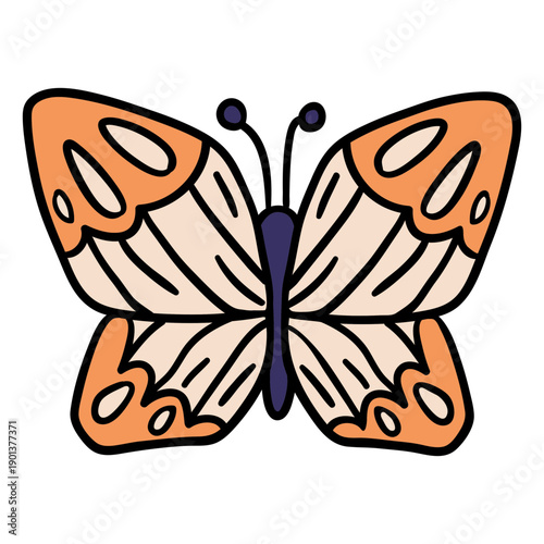 Magic butterfly hand drawn