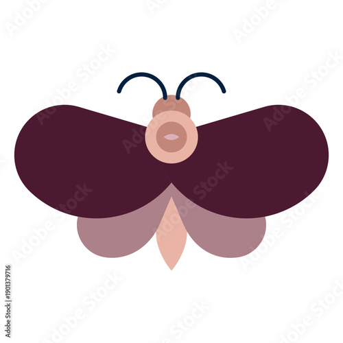 Magician butterfly flat