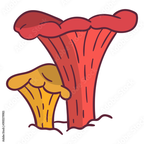 Fungus chanterelle illustration