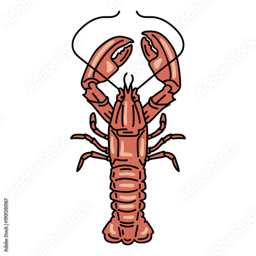 Stroke lobster animal