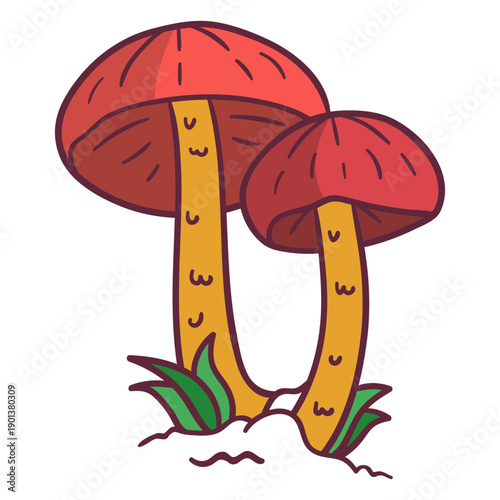 Fungus fly amanita illustration