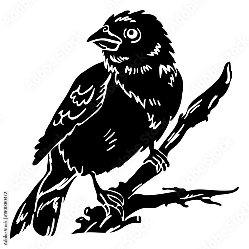 Realistic hand drawn grosbeak black