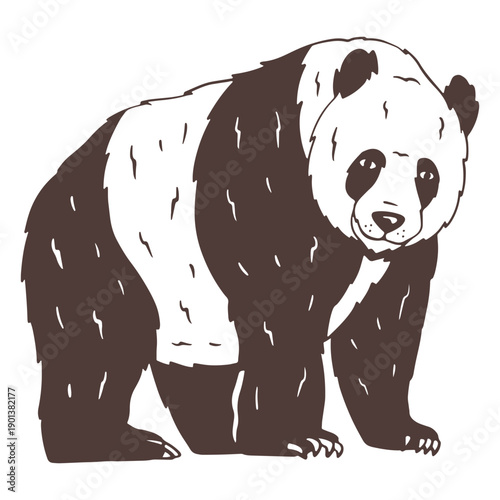 Panda staring hand drawn