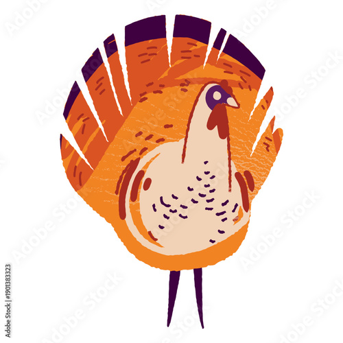 Turkey farm animal textured turkey