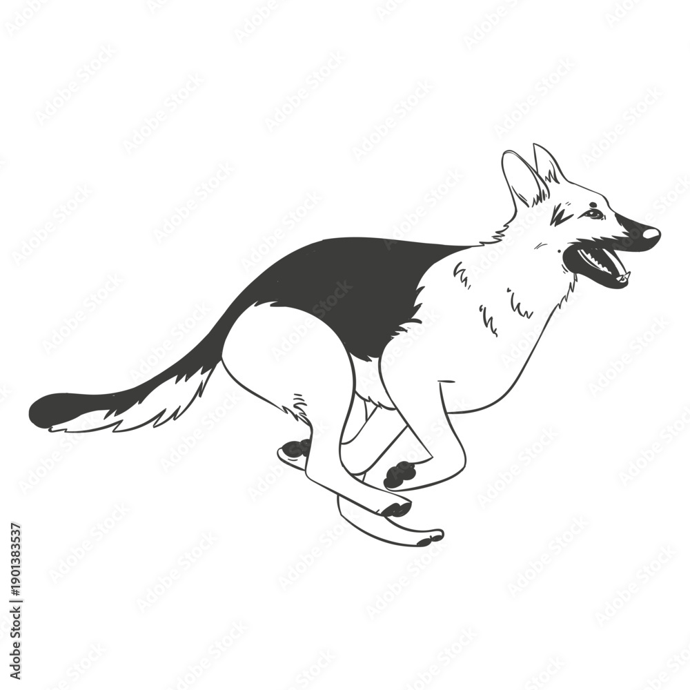 Fototapeta premium German shepherd running hand drawn dog