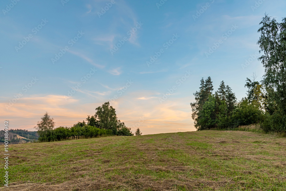 Fototapeta premium colorful summer sunset on meadow