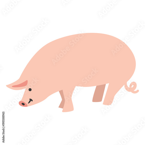 Pig farm animal cute