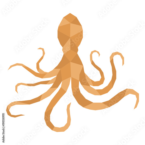 Frontal polygonal octopus