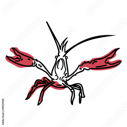 Color stroke semi colored frontal lobster