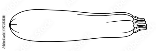 Simple line drawing of a zucchini isolated on a white background perfect for healthy eating and cooking concepts