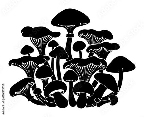 Collection of black silhouette mushrooms detailed vector illustration of various fungi for forest or nature themed designs isolated on white background