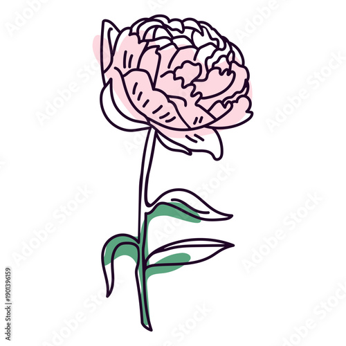 Tableau sur toile Pink carnation flower color storke