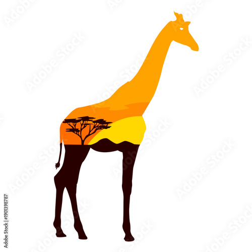 Savana jiraffe semi flat