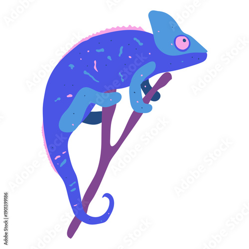 Blue chameleon animal nature