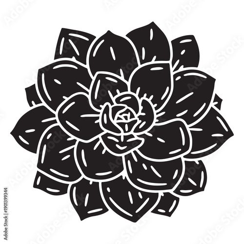 Succulent plant cut out