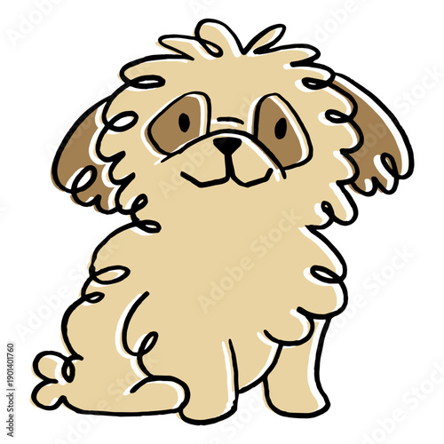 Fluffy dog pet doodle