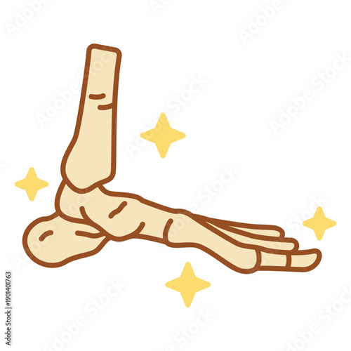Foot bones body color stroke