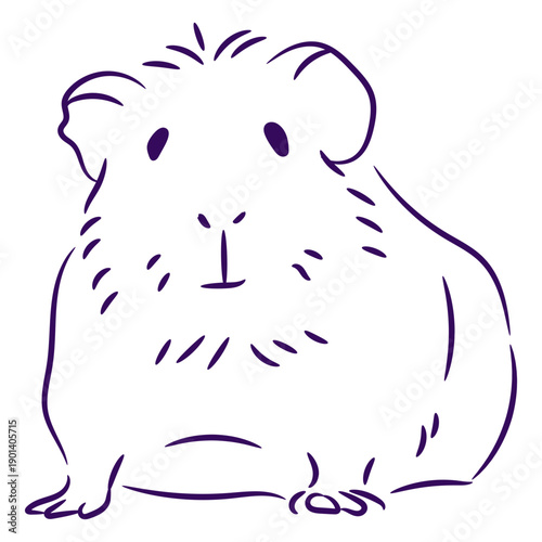 Cute violet guinea pig filled stroke