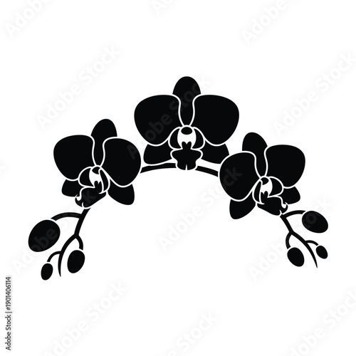 Elegant black silhouette of orchid flowers and curving stem