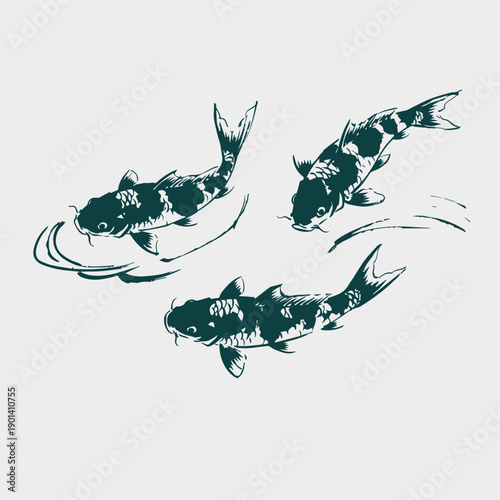 carp koi fish set japanese chinese vector ink traditional asian design isolated