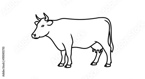 Simple Line Drawing of a Calf Illustration for Educational Use