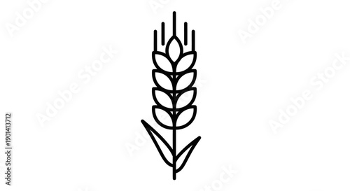 Simple Black and White Illustration of Wheat Plant for Agriculture and Farming Themes