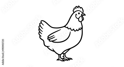 Simple Line Drawing of a Chicken Depicting Farmyard Poultry Animal