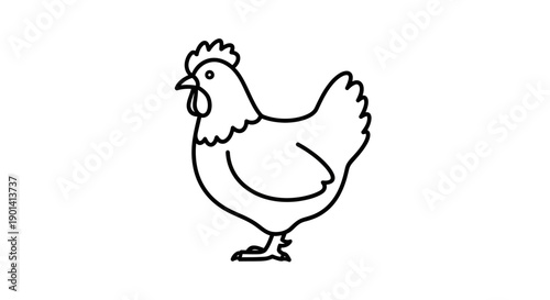 Simple Black and White Line Drawing of a Chicken for Illustration or Design