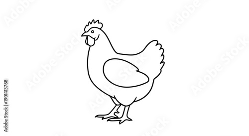 Simple Line Drawing of a Classic Farmyard Chicken for Educational or Illustration Use
