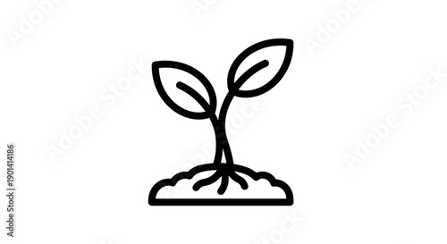 Young Plant Growing in Soil with Green Leaves and Natural Environment